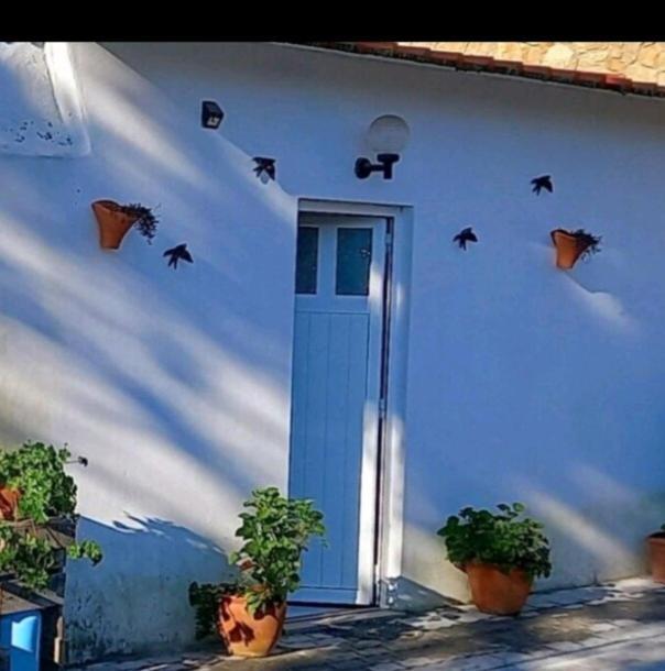 Anexo Na Quintinha Apartment Caldas Da Rainha Exterior photo