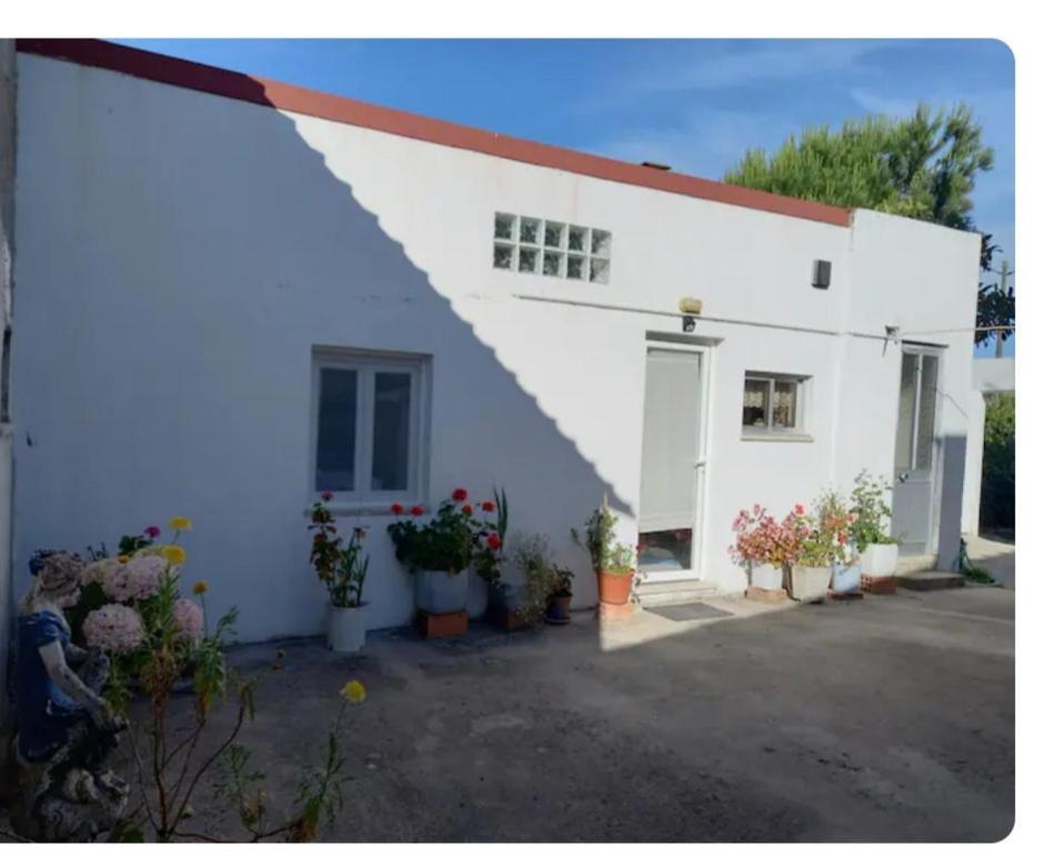 Anexo Na Quintinha Apartment Caldas Da Rainha Exterior photo